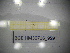  ( - BGE.HMS0716_959)  @11 [ ] CreativeCommons Attribution (2024) Dept Invertebrate Zoology and Hydrobiology, University of Lodz University of Lodz