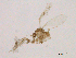  ( - WSAMAP-13006)  @11 [ ] creative commons  non-commercial only (2013) UNAH UNAH
