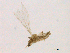  ( - WSAMAP-13019)  @11 [ ] creative commons  non-commercial only (2013) UNAH UNAH