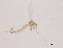  ( - WSAMAP-13020)  @11 [ ] creative commons  non-commercial only (2013) UNAH UNAH