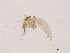  ( - WSAMAP-13021)  @11 [ ] creative commons  non-commercial only (2013) UNAH UNAH