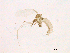  ( - WSAMAP-13023)  @11 [ ] creative commons  non-commercial only (2013) UNAH UNAH