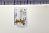  (Argyrotaenia congruentana - HNU226)  @12 [ ] CreativeCommons - Attribution Share-Alike (2015) Unspecified Seoul National Uiversity