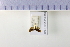  ( - HNU 353)  @11 [ ] CreativeCommons - Attribution Share-Alike (2015) Unspecified Seoul National Uiversity