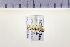  ( - HNU 853)  @12 [ ] CreativeCommons - Attribution Share-Alike (2015) Unspecified Seoul National Uiversity