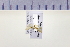  ( - HNU 856)  @12 [ ] CreativeCommons - Attribution Share-Alike (2015) Unspecified Seoul National Uiversity