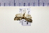  ( - HNU 857)  @12 [ ] CreativeCommons - Attribution Share-Alike (2015) Unspecified Seoul National Uiversity
