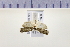  ( - HNU 858)  @12 [ ] CreativeCommons - Attribution Share-Alike (2015) Unspecified Seoul National Uiversity