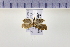  ( - HNU 891)  @13 [ ] CreativeCommons - Attribution Share-Alike (2015) Unspecified Seoul National Uiversity