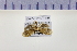  ( - HNU 905)  @13 [ ] CreativeCommons - Attribution Share-Alike (2015) Unspecified Seoul National Uiversity