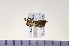  ( - HNU932)  @12 [ ] CreativeCommons - Attribution Share-Alike (2015) Unspecified Seoul National Uiversity