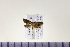  ( - HNU933)  @13 [ ] CreativeCommons - Attribution Share-Alike (2015) Unspecified Seoul National Uiversity