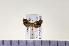  ( - HNU934)  @13 [ ] CreativeCommons - Attribution Share-Alike (2015) Unspecified Seoul National Uiversity