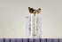  ( - HNU974)  @11 [ ] CreativeCommons - Attribution Share-Alike (2015) Unspecified Seoul National Uiversity