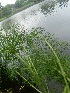  ( - BHD497)  @11 [ ] No Rights Reserved  Unspecified Unspecified