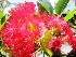  ( - C-L_R-0157)  @11 [ ] CreativeCommons - Attribution Non-Commercial Share-Alike (2012) Mamadi Theresa Sethusa University of Johannesburg