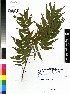  ( - DMP060)  @11 [ ] CreativeCommons - Attribution Non-Commercial Share-Alike (2012) Mamadi Theresa Sethusa University of Johannesburg