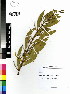  ( - DMP079)  @11 [ ] CreativeCommons - Attribution Non-Commercial Share-Alike (2012) Mamadi Theresa Sethusa University of Johannesburg
