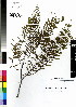  ( - DMP145)  @11 [ ] CreativeCommons - Attribution Non-Commercial Share-Alike (2012) Mamadi Theresa Sethusa University of Johannesburg