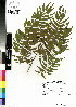  ( - DMP277)  @11 [ ] CreativeCommons - Attribution Non-Commercial Share-Alike (2012) Mamadi Theresa Sethusa University of Johannesburg
