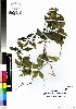  ( - DMP280)  @11 [ ] CreativeCommons - Attribution Non-Commercial Share-Alike (2012) Mamadi Theresa Sethusa University of Johannesburg