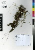  ( - DMP369)  @11 [ ] CreativeCommons - Attribution Non-Commercial Share-Alike (2012) Mamadi Theresa Sethusa University of Johannesburg