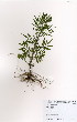  ( - JG013)  @11 [ ] No Rights Reserved  Unspecified Unspecified