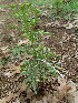  ( - JG013)  @11 [ ] No Rights Reserved  Unspecified Unspecified