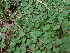  ( - JG016)  @11 [ ] No Rights Reserved  Unspecified Unspecified
