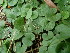  ( - JG016)  @11 [ ] No Rights Reserved  Unspecified Unspecified
