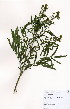 ( - JG017)  @11 [ ] No Rights Reserved  Unspecified Unspecified
