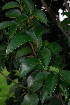  ( - JG038)  @11 [ ] CreativeCommons - Attribution Non-Commercial Share-Alike (2011) Olivier Maurin University of Johannesburg