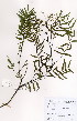  ( - JG052)  @11 [ ] No Rights Reserved  Unspecified Unspecified