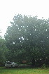  ( - JG055)  @11 [ ] CreativeCommons - Attribution Non-Commercial Share-Alike (2011) Olivier Maurin University of Johannesburg