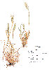  ( - KK-0021)  @11 [ ] CreativeCommons - Attribution Non-Commercial Share-Alike (2012) Mamadi Theresa Sethusa University of Johannesburg