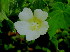  ( - KMS-0288)  @11 [ ] CreativeCommons - Attribution Non-Commercial Share-Alike (2012) Mamadi Theresa Sethusa University of Johannesburg