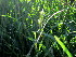  ( - KMS-0298)  @11 [ ] CreativeCommons - Attribution Non-Commercial Share-Alike (2012) Mamadi Theresa Sethusa University of Johannesburg
