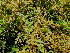  ( - KMS-0340)  @11 [ ] CreativeCommons - Attribution Non-Commercial Share-Alike (2012) Mamadi Theresa Sethusa University of Johannesburg