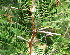  ( - KMS-0382)  @12 [ ] CreativeCommons - Attribution Non-Commercial Share-Alike (2012) Mamadi Theresa Sethusa University of Johannesburg
