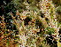  ( - KMS-0400)  @11 [ ] CreativeCommons - Attribution Non-Commercial Share-Alike (2012) Mamadi Theresa Sethusa University of Johannesburg