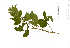  (Banksia - MEK174)  @11 [ ] CreativeCommons - Attribution Non-Commercial Share-Alike (2013) Mamadi Theresa Sethusa University of Johannesburg