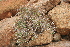  ( - MS086)  @11 [ ] No Rights Reserved  Unspecified Unspecified