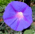  ( - PPRI-0230)  @11 [ ] CreativeCommons - Attribution Non-Commercial Share-Alike (2012) Mamadi Theresa Sethusa University of Johannesburg