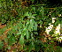  ( - PPRI-0268)  @11 [ ] CreativeCommons - Attribution Non-Commercial Share-Alike (2012) Mamadi Theresa Sethusa University of Johannesburg