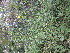  ( - PPRI-0086)  @11 [ ] CreativeCommons - Attribution Non-Commercial Share-Alike (2012) Mamadi Theresa Sethusa University of Johannesburg