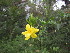  ( - PPRI-0086)  @11 [ ] CreativeCommons - Attribution Non-Commercial Share-Alike (2012) Mamadi Theresa Sethusa University of Johannesburg