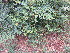  ( - PPRI-0126)  @11 [ ] CreativeCommons - Attribution Non-Commercial Share-Alike (2012) Mamadi Theresa Sethusa University of Johannesburg