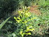  ( - PPRI-0131)  @11 [ ] CreativeCommons - Attribution Non-Commercial Share-Alike (2012) Mamadi Theresa Sethusa University of Johannesburg