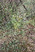  ( - PR929)  @11 [ ] No Rights Reserved  Unspecified Unspecified