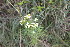  ( - PR929)  @11 [ ] No Rights Reserved  Unspecified Unspecified